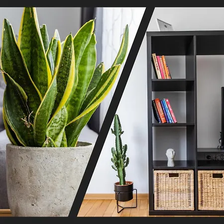 Matisse Hotflat Apartament Warna