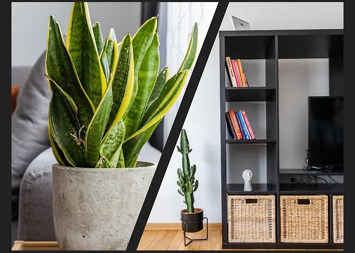 Matisse Hotflat דירה וארנה